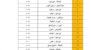 رفع أسعار الوقود.. قيمة أجرة الركوب الجديدة لسيارات الأجرة بالقليوبية