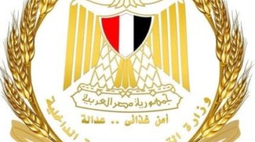 «التموين» تُشكل غرفة عمليات لمتابعة تنفيذ قرار زيادة أسعار المنتجات البترولية