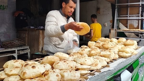 عاجل | «التموين» تكشف حقيقة زيادة سعر الخبز بعد تحريك أسعار الوقود عاجل | «التموين» تكشف حقيقة زيادة سعر الخبز بعد تحريك أسعار الوقود