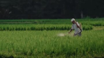 2.7 مليون طن.. طفرة غير مسبوقة في قطاع الزراعة خلال الربع الأول من 2025