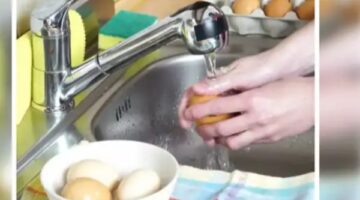 احذر غسل البيض قبل تناوله لهذا السبب