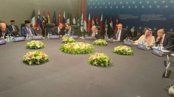 وزير الخارجية: «مصر ترفض بشكل قاطع محاولات تعديل الواقع الديموغرافي لغزة»
