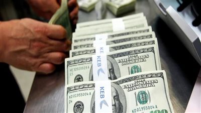 سقوط تجار العملات.. ضبط قضايا بقيمة 8 ملايين جنيه خلال 24 ساعة سقوط تجار العملات.. ضبط قضايا بقيمة 8 ملايين جنيه خلال 24 ساعة