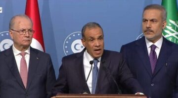 وزير الخارجية: انعقاد مؤتمر القاهرة لإعمار غزة متوقف على وقف إطلاق النار