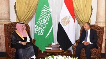 مصر والسعودية تؤكدان ضرورة وقف إطلاق النار في غزة وتدعم حقوق الفلسطينيين