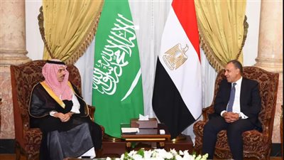 مصر والسعودية تؤكدان ضرورة وقف إطلاق النار في غزة وتدعم حقوق الفلسطينيين