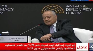 ابو الغيط: اذا لم نضغط جميعا على اسرائيل سنشهد تكرارا للهوليكوست
