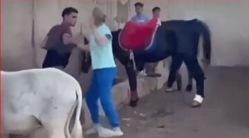 الداخلية تكشف ملابسات تعدي سائحة على شاب بالهرم.. “ضربته عشان حمار”