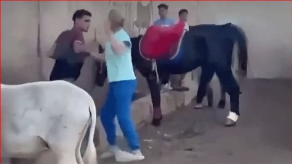 الداخلية تكشف ملابسات تعدي سائحة على شاب بالهرم.. “ضربته عشان حمار” الداخلية تكشف ملابسات تعدي سائحة على شاب بالهرم.. “ضربته عشان حمار”