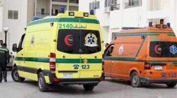 بسب وجبة فسيخ.. إصابة 6 أشخاص من أسرة بتسمم غذائي بالدقهلية