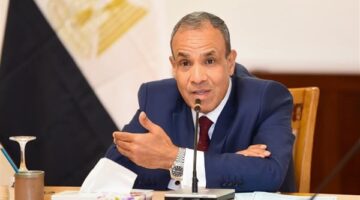 وزير الخارجية: مصر مستعدة لتقديم الدعم الفني للأشقاء الأفارقة
