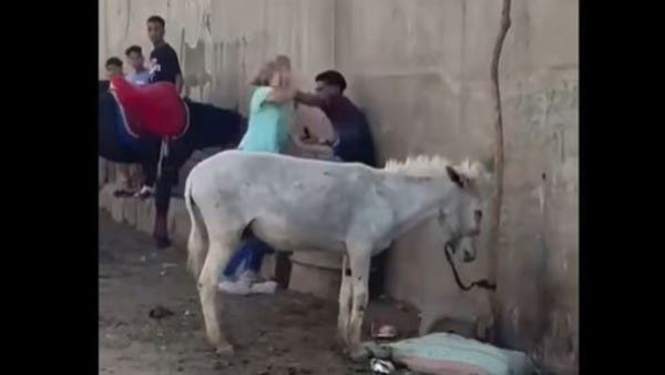 ضرب حمار .. إخلاء سبيل سائحة هولندية في تعديها على شاب بنزلة السمان ضرب حمار .. إخلاء سبيل سائحة هولندية في تعديها على شاب بنزلة السمان