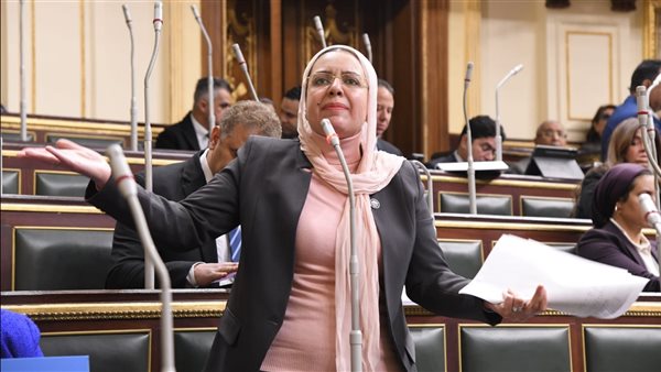نائبة: زيادة المحروقات مخالفة للقانون ومستهترة بالأبعاد الاجتماعية والاقتصادية التي يعاني منها المواطن نائبة: زيادة المحروقات مخالفة للقانون ومستهترة بالأبعاد الاجتماعية والاقتصادية التي يعاني منها المواطن