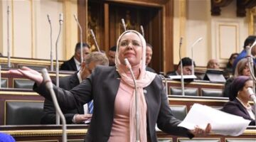 من 10% إلي 15%.. النائبة ريهام عبد النبي تتقدم ببيان عاجل حول التداعيات الخطيرة للزيادة الأخيرة في أسعار المحروقات