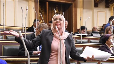 من 10% إلي 15%.. النائبة ريهام عبد النبي تتقدم ببيان عاجل حول التداعيات الخطيرة للزيادة الأخيرة في أسعار المحروقات من 10% إلي 15%.. النائبة ريهام عبد النبي تتقدم ببيان عاجل حول التداعيات الخطيرة للزيادة الأخيرة في أسعار المحروقات