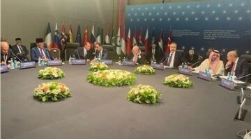 اللجنة الوزارية العربية تحذر: غزة تحترق وحل الدولتين في مهب الريح
