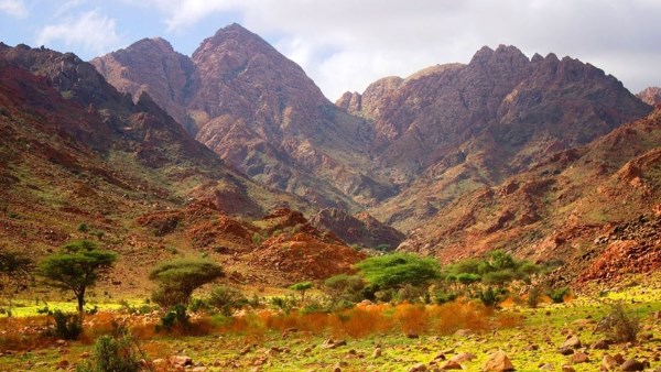 محمية جبل علبة: تنوع طبيعي وثقافي يزين أقصى جنوب البحر الأحمر | صور محمية جبل علبة: تنوع طبيعي وثقافي يزين أقصى جنوب البحر الأحمر | صور
