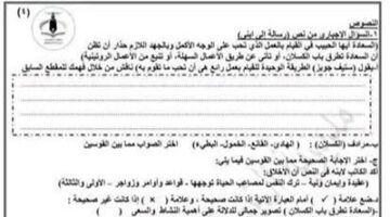 بنظام البوكليت.. نماذج إسترشادية لمادة اللغة العربية لطلاب الشهادة الاعدادية الفصل الثاني