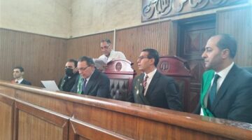 جنايات فوه بكفر الشيخ تحيل أوراق قاتل صديقه لسرقة هاتف محمول للمفتي