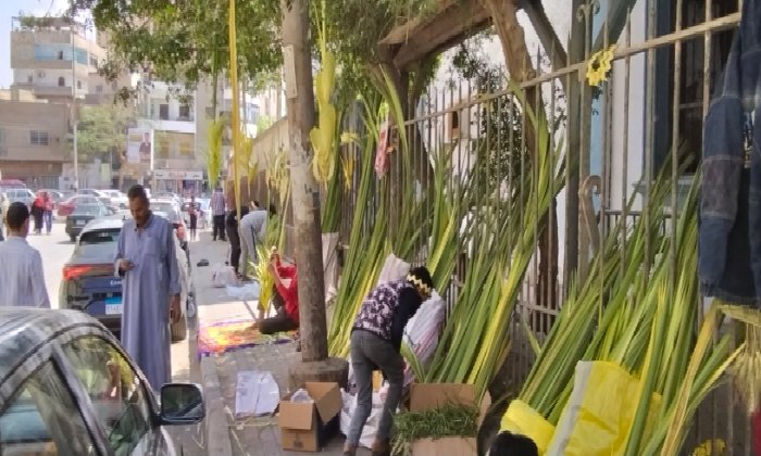 استعدادات مكثفة في الفيوم للاحتفال بـ«أحد الشعانين».. وميادين تتحول إلى أسواق شعبية للسعف استعدادات مكثفة في الفيوم للاحتفال بـ«أحد الشعانين».. وميادين تتحول إلى أسواق شعبية للسعف