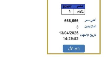 بـ 666 ألف جنيه.. مزايدة نارية على لوحة سيارة مميزة «اعرف الخطوات»