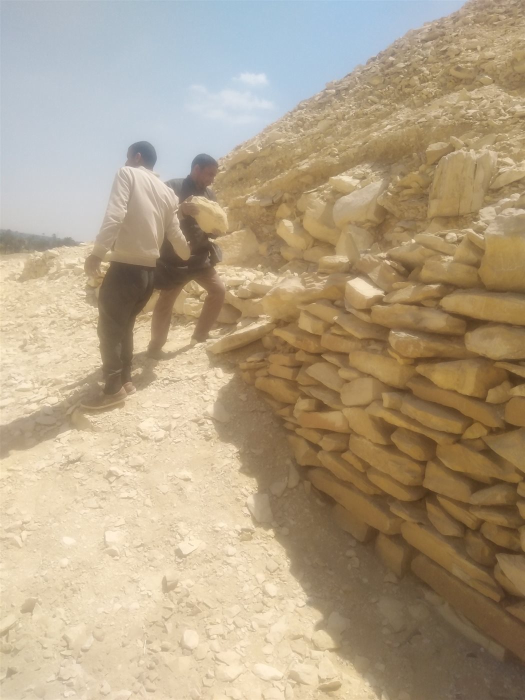 آثار ميدوم تشن حملة لنظافة منطقة هرم الملك سنفرو 