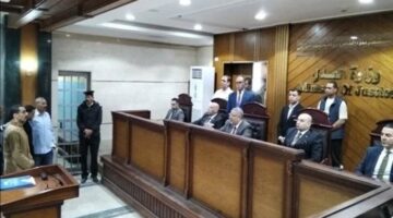 السجن المشدد 10 سنوات لسائق تروسيكل بتهمة قتل مزارع بـ بلطة في مشاجرة بالمنوفية