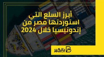 أبرز السلع التي استوردتها مصر من إندونيسيا خلال 2024 | إنفوجراف