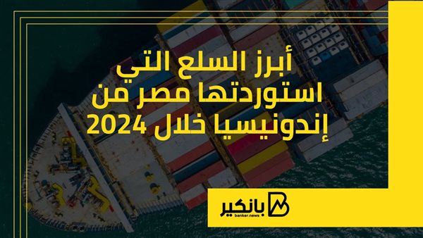 أبرز السلع التي استوردتها مصر من إندونيسيا خلال 2024 | إنفوجراف
