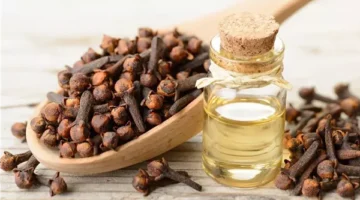 فوائد القرنفل للبشرة والشعر والمناعة وكيفية استخدامه يوميا