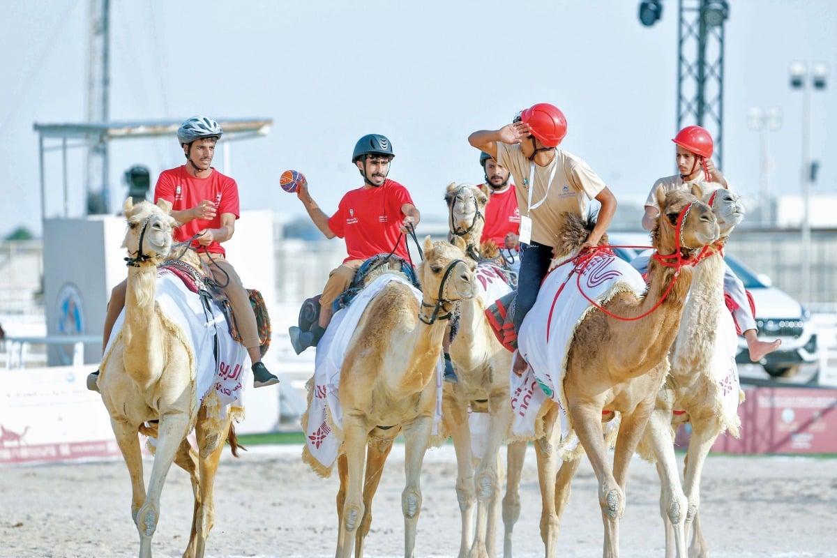 مدير عام البطولة الدولية لهجانة اليد يشيد بالإقبال المميز والتنافسية الكبيرة مدير عام البطولة الدولية لهجانة اليد يشيد بالإقبال المميز والتنافسية الكبيرة