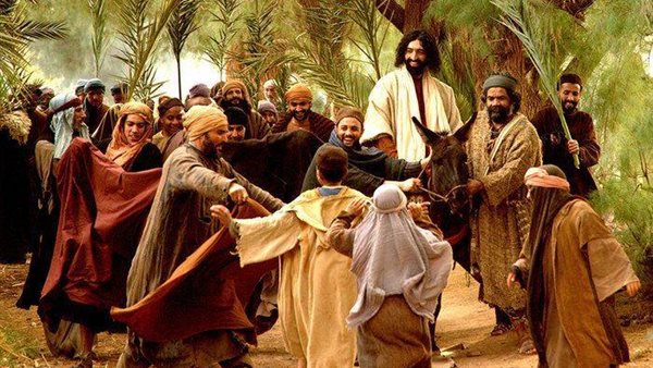 أحد الشعانين| سعف وصلاة الجناز على الأحياء.. طقوس الاحتفال بدخول المسيح أورشليم