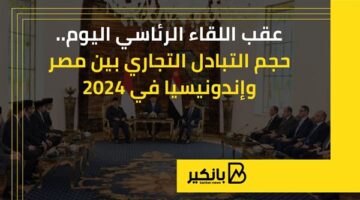 حجم التبادل التجاري بين مصر  وإندونيسيا في 2024 |إنفوجراف