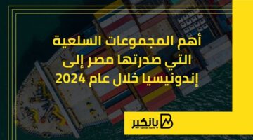 أهم المجموعات السلعية التي صدرتها مصر إلى إندونيسيا خلال 2024 | إنفوجراف