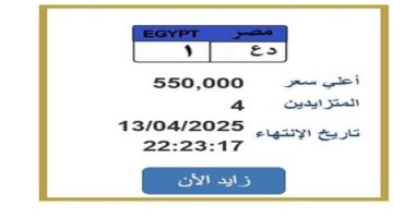تجاوز سعرها نصف مليون جنيه.. التزايد على لوحة سيارة مميزة