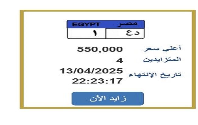 تجاوز سعرها نصف مليون جنيه.. التزايد على لوحة سيارة مميزة تجاوز سعرها نصف مليون جنيه.. التزايد على لوحة سيارة مميزة