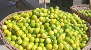 الليمون بـ 100 جنيه.. أسعار الخضروات والفاكهة اليوم الأحد 13-4-2025