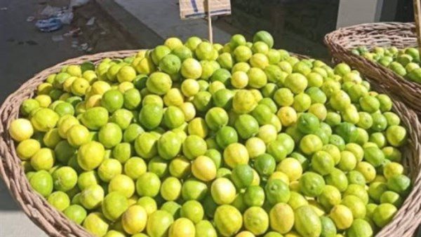 الليمون بـ 100 جنيه.. أسعار الخضروات والفاكهة اليوم الأحد 13-4-2025 الليمون بـ 100 جنيه.. أسعار الخضروات والفاكهة اليوم الأحد 13-4-2025