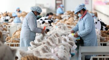الرسوم الجمركية بنسبة 145% على الصين تضرب صناعة الألعاب