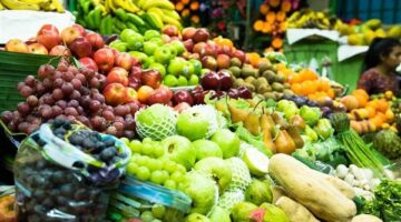 البطاطس والموالح بالصدارة.. سلامة الغذاء: تصدير 263 ألف طن مواد غذائية في أسبوع