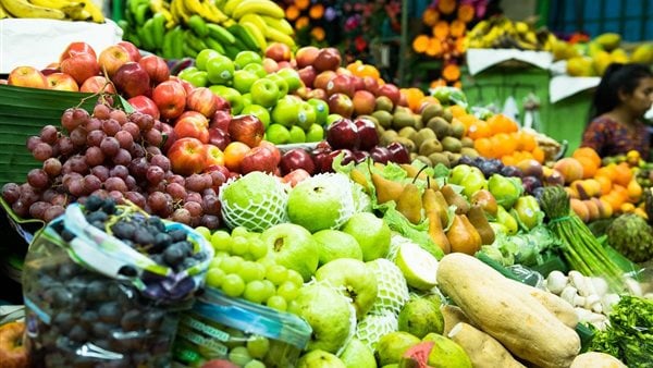 البطاطس والموالح بالصدارة.. سلامة الغذاء: تصدير 263 ألف طن مواد غذائية في أسبوع البطاطس والموالح بالصدارة.. سلامة الغذاء: تصدير 263 ألف طن مواد غذائية في أسبوع