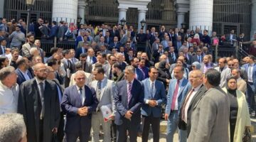 وقفة احتجاجية للمحامين في الإسكندرية اعتراضًا على زيادة الرسوم القضائية.. صور
