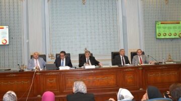 الصحة أمام البرلمان: 91% من الأدوية بالصيدليات محلية الصنع.. ولا يوجد نقص في الأنسولين