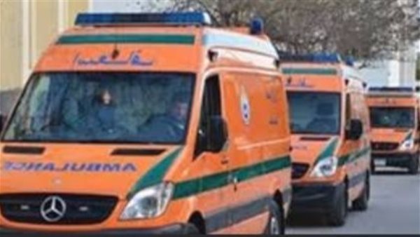 جهود مكثفة لكشف ملابسات العثور على جثث 3 أطفال أشقاء بالبدرشين