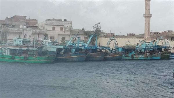 غدًا.. بدء تطبيق قرار وقف الصيد فى البحر الأحمر غدًا.. بدء تطبيق قرار وقف الصيد فى البحر الأحمر