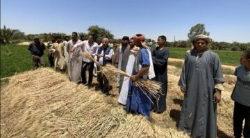 البحوث الزراعية يبحث تدشين محطة بحثية في الفرافرة بالوادي الجديد