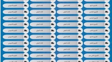 من الصف الأول الإبتدائي حتى الثانى الإعدادي.. جميع روابط التقييمات الأسبوعية 2025