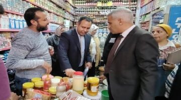 تحرير 98 محضر مخالفة خلال حملات رقابية مكثفة لضبط الأسواق في الإسكندرية