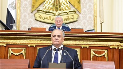الهنيدي بمناقشات الحساب الختامي: على الحكومة الاستفادة من القروض والمنح لتنفيذ المشروعات الهنيدي بمناقشات الحساب الختامي: على الحكومة الاستفادة من القروض والمنح لتنفيذ المشروعات