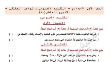مراجعات نهائية.. تقييمات الأسبوع العاشر الكمبيوتر لـ الصف الأول الإعدادي